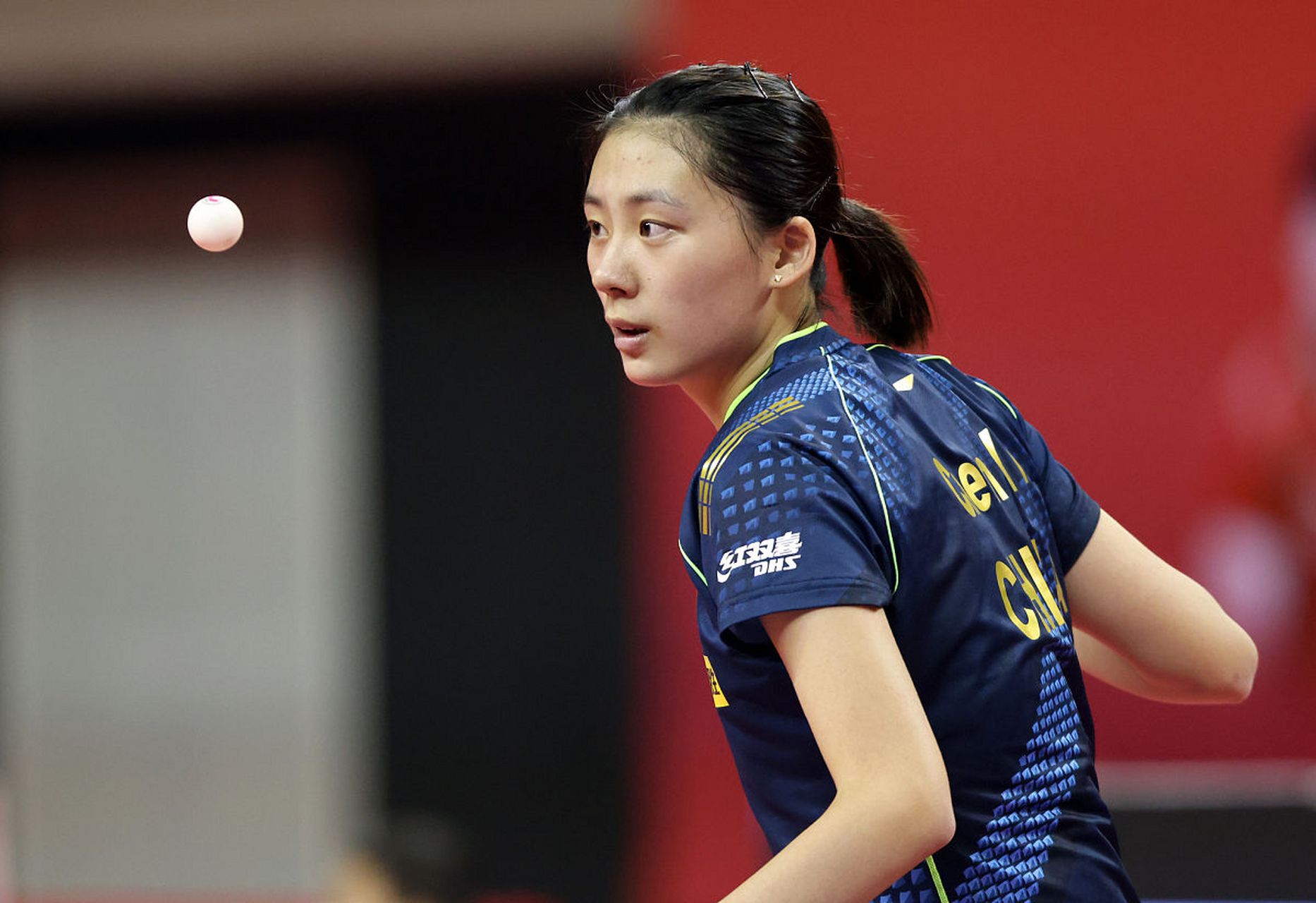 都将齐聚这 都将齐聚这