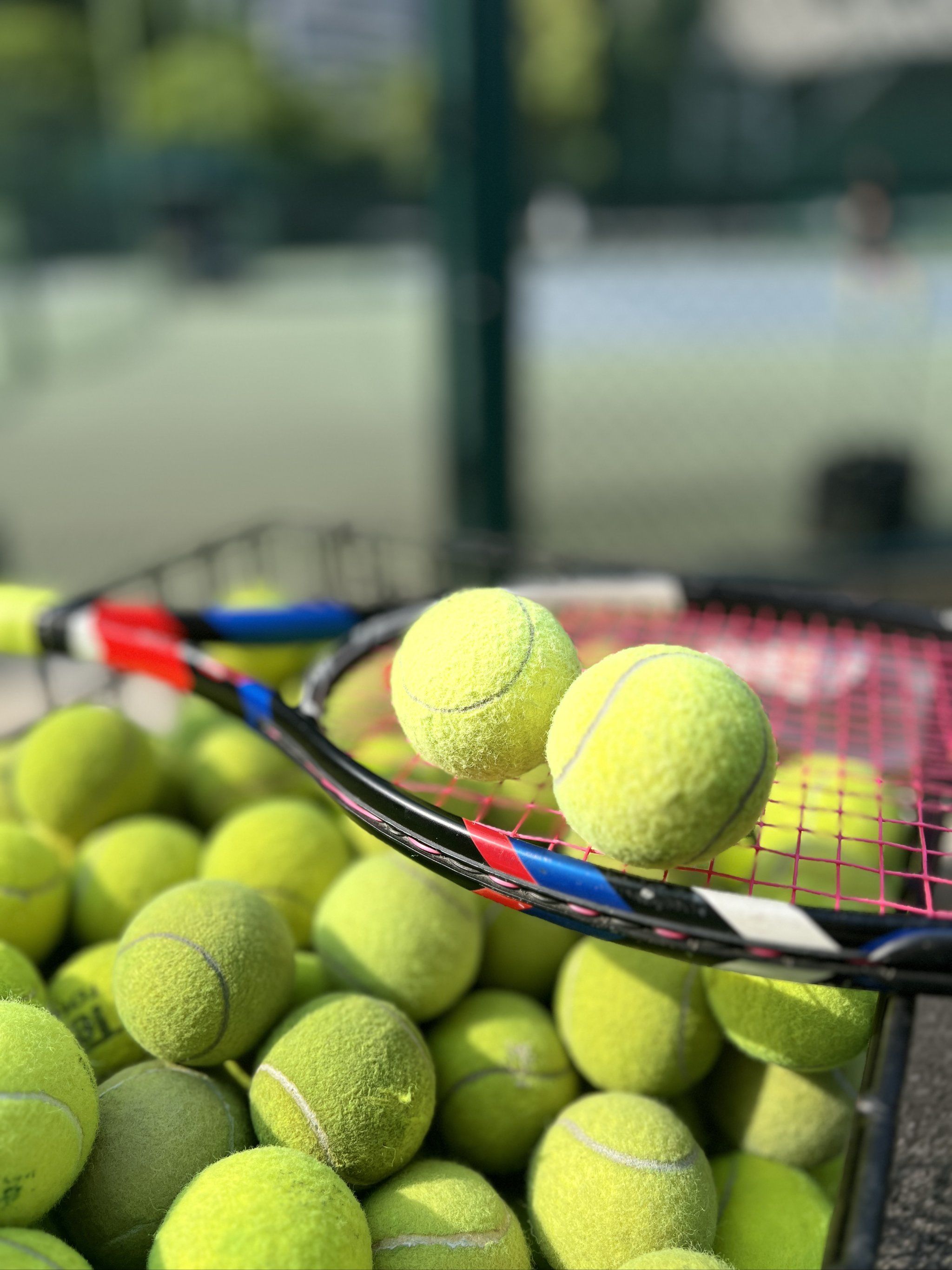 无论是身体 无论是身体